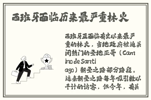 鱿鱼网进入官网BY1259破解版